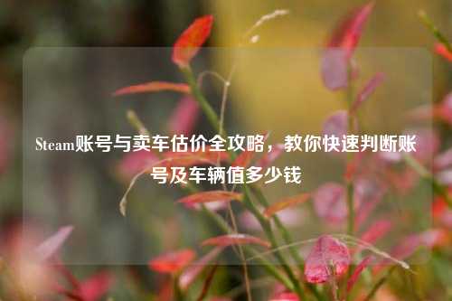 Steam账号与卖车估价全攻略，教你快速判断账号及车辆值多少钱