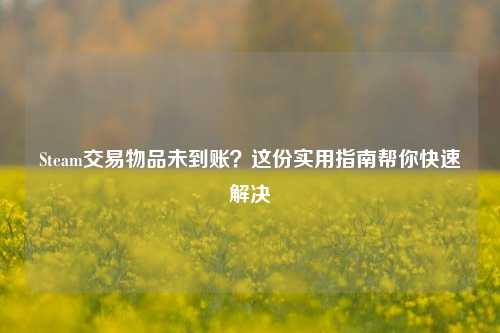Steam交易物品未到账？这份实用指南帮你快速解决