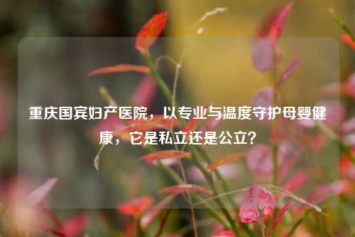 重庆国宾妇产医院，以专业与温度守护母婴健康，它是私立还是公立？