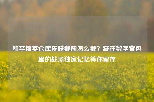 和平精英仓库皮肤截图怎么截？藏在数字背包里的战场独家记忆等你留存