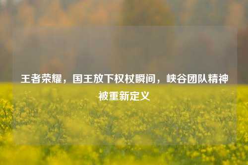 王者荣耀，国王放下权杖瞬间，峡谷团队精神被重新定义