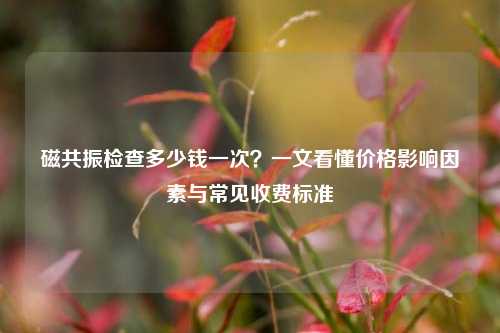 磁共振检查多少钱一次？一文看懂价格影响因素与常见收费标准