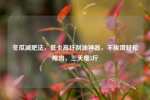 冬瓜减肥法，低卡高纤刮油神器，不挨饿轻松甩肉，三天瘦5斤