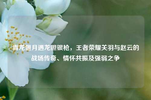 青龙偃月遇龙胆银枪，王者荣耀关羽与赵云的战场传奇、情怀共振及强弱之争