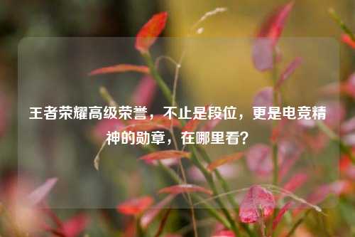 王者荣耀高级荣誉，不止是段位，更是电竞精神的勋章，在哪里看？