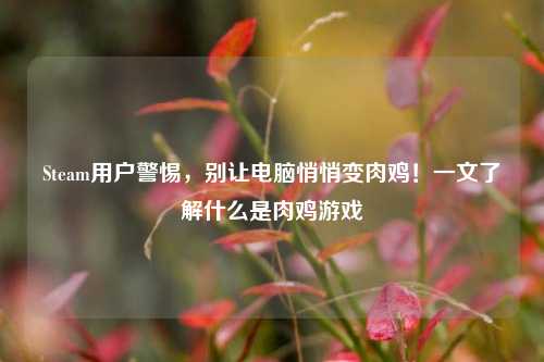 Steam用户警惕，别让电脑悄悄变肉鸡！一文了解什么是肉鸡游戏