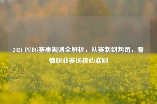 2021 PUBG赛事规则全解析，从赛制到判罚，看懂职业赛场核心准则