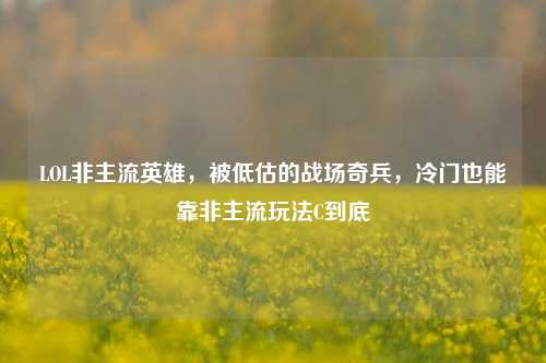 LOL非主流英雄，被低估的战场奇兵，冷门也能靠非主流玩法C到底