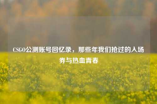 CSGO公测账号回忆录，那些年我们抢过的入场券与热血青春