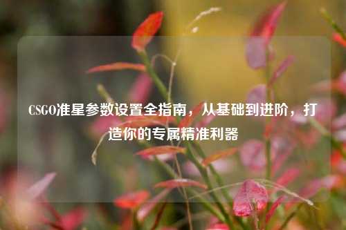 CSGO准星参数设置全指南，从基础到进阶，打造你的专属精准利器