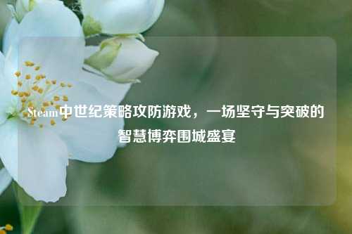 Steam中世纪策略攻防游戏，一场坚守与突破的智慧博弈围城盛宴