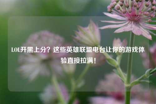 LOL开黑上分？这些英雄联盟电台让你的游戏体验直接拉满！