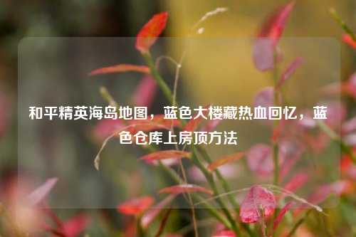 和平精英海岛地图，蓝色大楼藏热血回忆，蓝色仓库上房顶 *** 