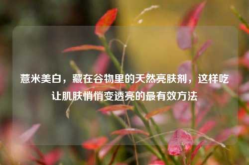 薏米美白，藏在谷物里的天然亮肤剂，这样吃让肌肤悄悄变透亮的最有效 *** 