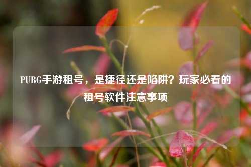 PUBG手游租号，是捷径还是陷阱？玩家必看的租号软件注意事项