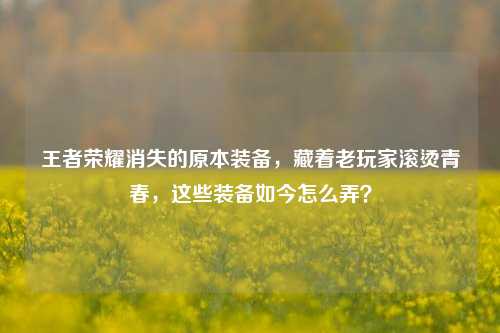 王者荣耀消失的原本装备，藏着老玩家滚烫青春，这些装备如今怎么弄？