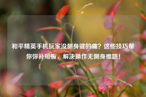 和平精英手机玩家没侧身键的痛？这些技巧帮你弥补短板，解决操作无侧身难题！