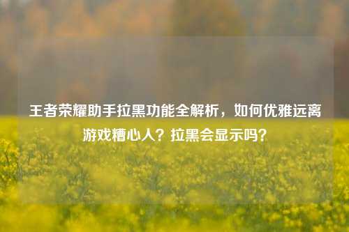 王者荣耀助手拉黑功能全解析，如何优雅远离游戏糟心人？拉黑会显示吗？