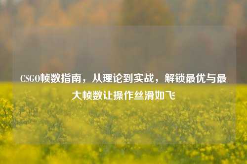 CSGO帧数指南，从理论到实战，解锁更优与更大帧数让操作丝滑如飞