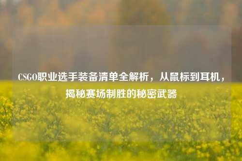 CSGO职业选手装备清单全解析，从鼠标到耳机，揭秘赛场制胜的秘密武器