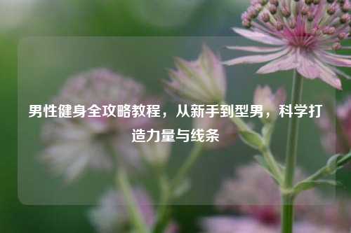 男性健身全攻略教程，从新手到型男，科学打造力量与线条