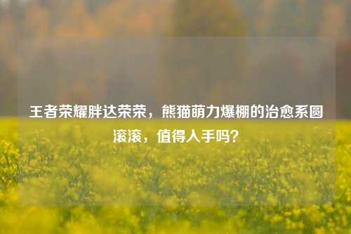 王者荣耀胖达荣荣，熊猫萌力爆棚的治愈系圆滚滚，值得入手吗？