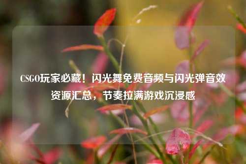 CSGO玩家必藏！闪光舞免费音频与闪光弹音效资源汇总，节奏拉满游戏沉浸感