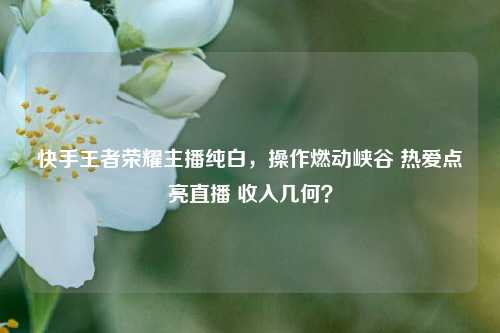 快手王者荣耀主播纯白，操作燃动峡谷 热爱点亮直播 收入几何？