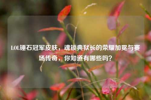 LOL锤石冠军皮肤，魂锁典狱长的荣耀加冕与赛场传奇，你知道有哪些吗？
