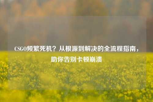 CSGO频繁死机？从根源到解决的全流程指南，助你告别卡顿崩溃