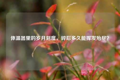 体温器里的岁月刻度，碎后多久能挥发殆尽？
