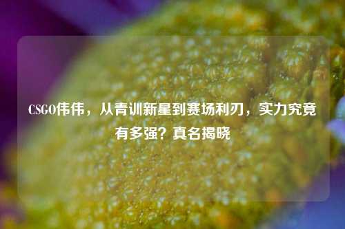 CSGO伟伟，从青训新星到赛场利刃，实力究竟有多强？真名揭晓