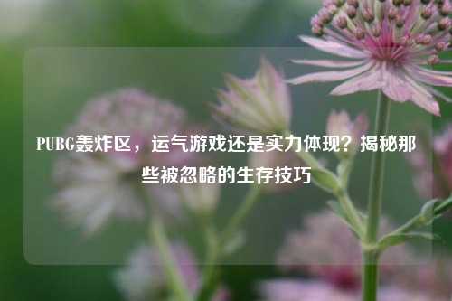 PUBG轰炸区，运气游戏还是实力体现？揭秘那些被忽略的生存技巧