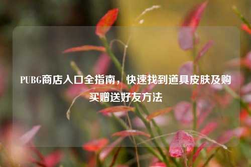 PUBG商店入口全指南，快速找到道具皮肤及购买赠送好友 *** 