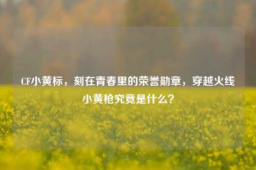 CF小黄标，刻在青春里的荣誉勋章，穿越火线小黄枪究竟是什么？