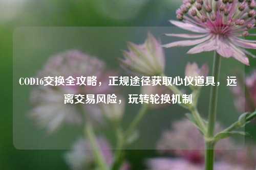 COD16交换全攻略，正规途径获取心仪道具，远离交易风险，玩转轮换机制