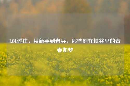 LOL过往，从新手到老兵，那些刻在峡谷里的青春如梦