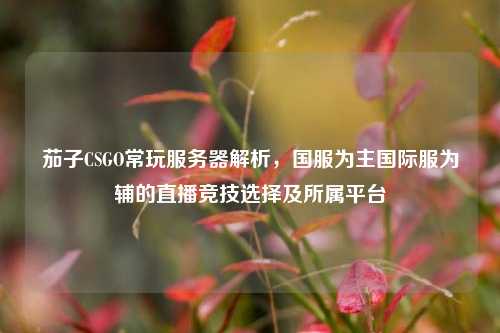 茄子CSGO常玩服务器解析，国服为主国际服为辅的直播竞技选择及所属平台