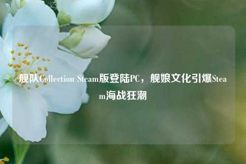 舰队Collection Steam版登陆PC，舰娘文化引爆Steam海战狂潮
