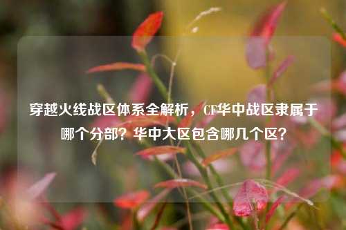 穿越火线战区体系全解析，CF华中战区隶属于哪个分部？华中大区包含哪几个区？