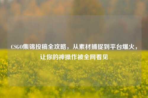 CSGO集锦投稿全攻略，从素材捕捉到平台爆火，让你的神操作被全网看见