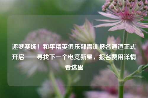逐梦赛场！和平精英俱乐部青训报名通道正式开启——寻找下一个电竞新星，报名费用详情看这里