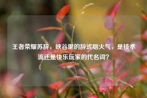 王者荣耀苏辞，峡谷里的辞式烟火气，是技术流还是快乐玩家的代名词？