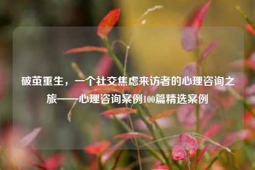 破茧重生，一个社交焦虑来访者的心理咨询之旅——心理咨询案例100篇精选案例