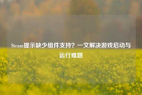 Steam提示缺少组件支持？一文解决游戏启动与运行难题