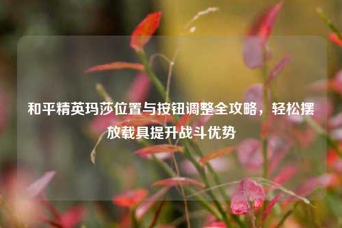 和平精英玛莎位置与按钮调整全攻略，轻松摆放载具提升战斗优势