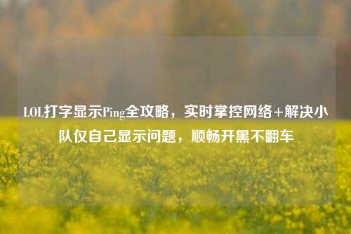 LOL打字显示Ping全攻略,实时掌控 *** +解决小队仅自己显示问题,顺畅开黑不翻车