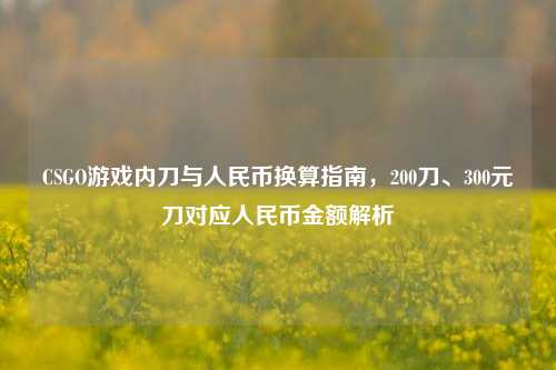 CSGO游戏内刀与人民币换算指南，200刀、300元刀对应人民币金额解析