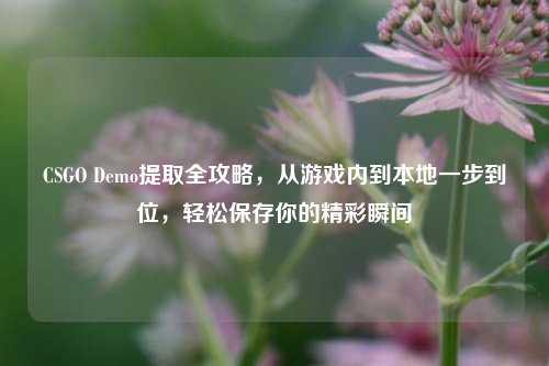 CSGO Demo提取全攻略，从游戏内到本地一步到位，轻松保存你的精彩瞬间