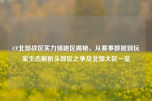 CF北部战区实力领跑区揭秘,从赛事数据到玩家生态解析头部区之争及北部大区一览